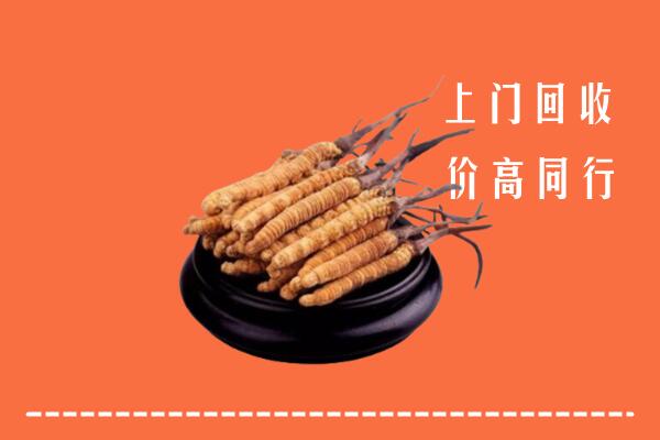 附近收购：双河市冬虫夏草回收多少钱每克