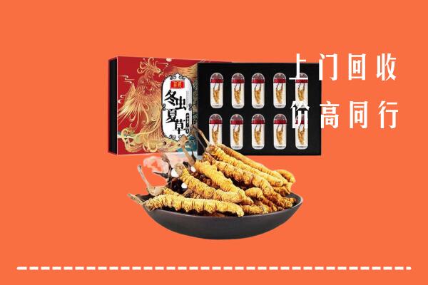 附近收购：双河市回收虫草
